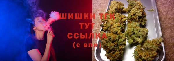 ПСИЛОЦИБИНОВЫЕ ГРИБЫ Ельня