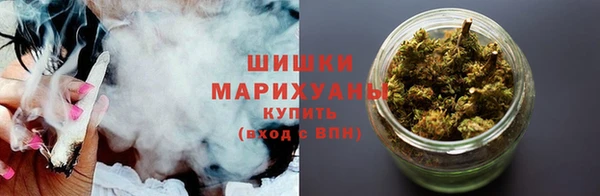 дживик Заводоуковск