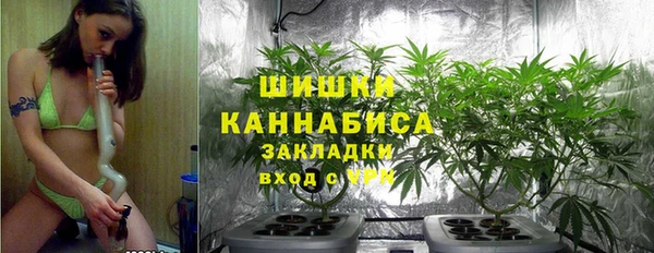 ПСИЛОЦИБИНОВЫЕ ГРИБЫ Ельня