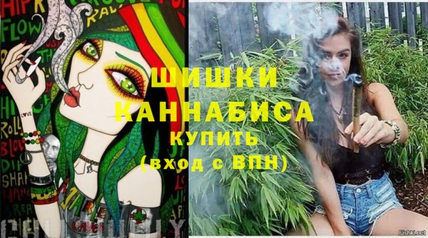 дживик Заводоуковск