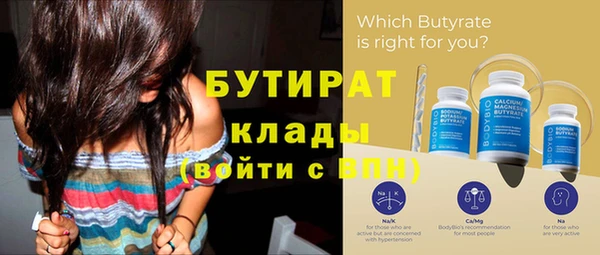 индика Елабуга
